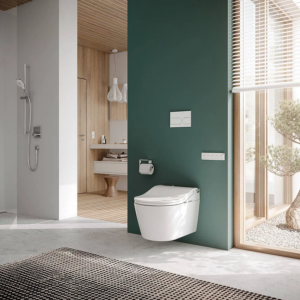 WASHLET® RW - zilveren details WASHLET® RW - zilveren details
